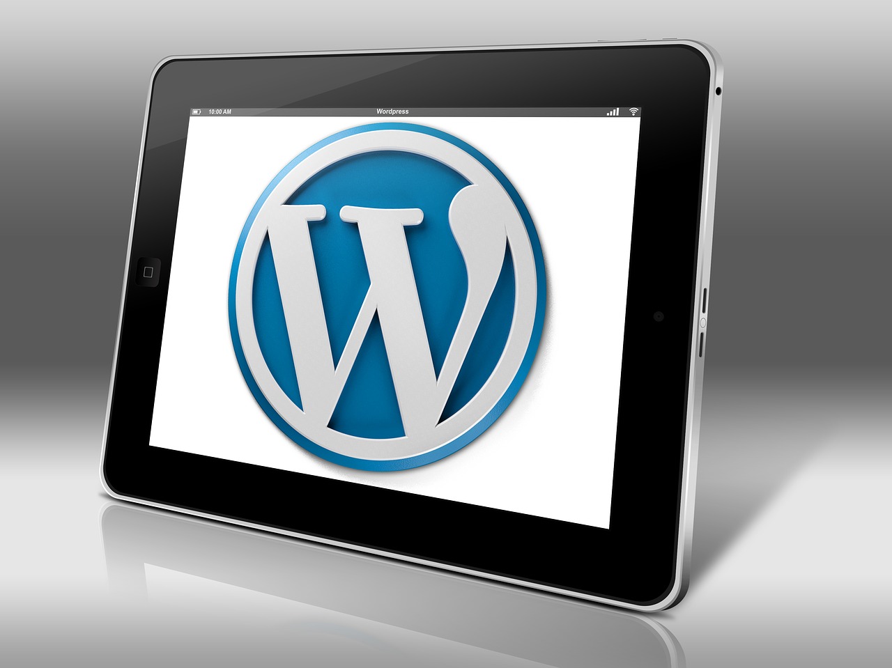 wordpress - Portkey SEO Minneapolis Web Design Rochester MN