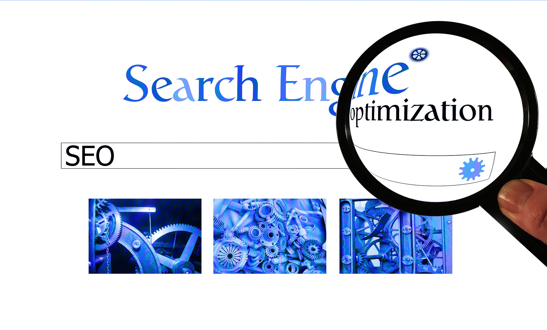 Web Design in Lakeland MN